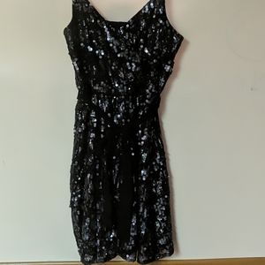 Express Black Sequin Dress